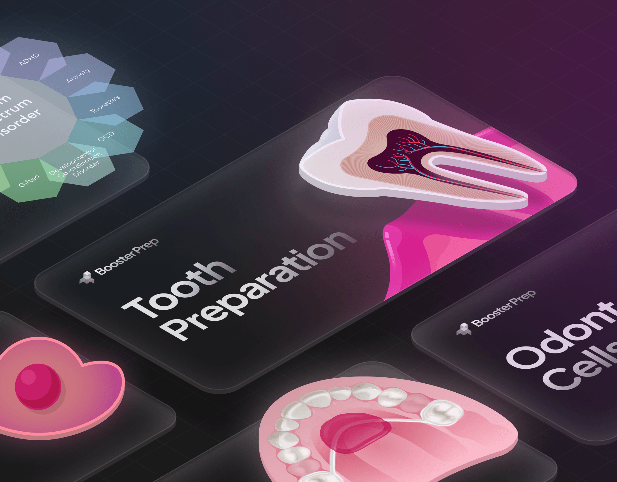 Beautifully illustrated INBDE-Specific Videos