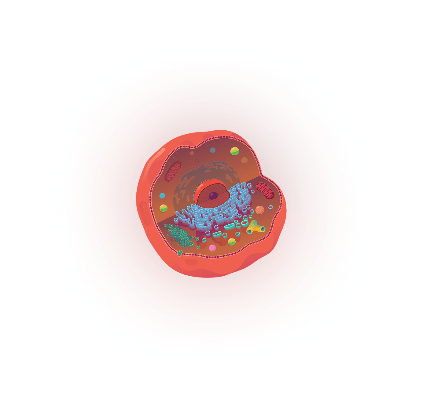 Object 3