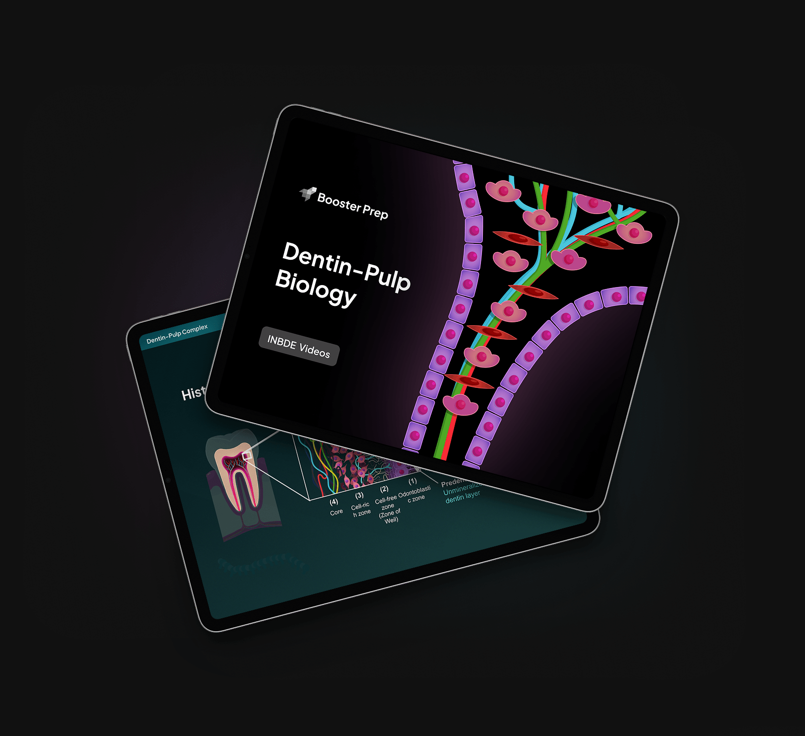 The best library of INBDE-specific videos feature