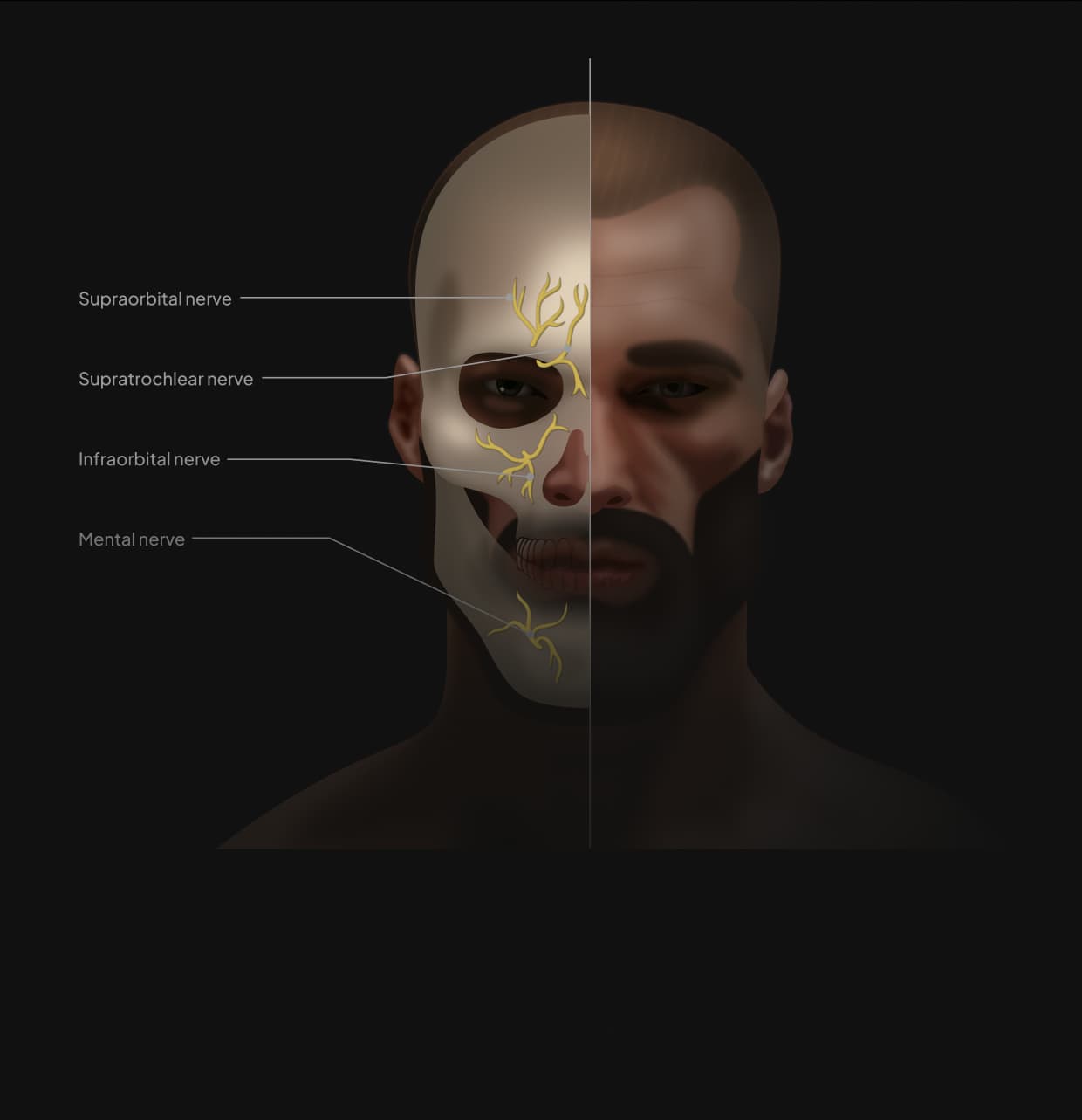info_block_image